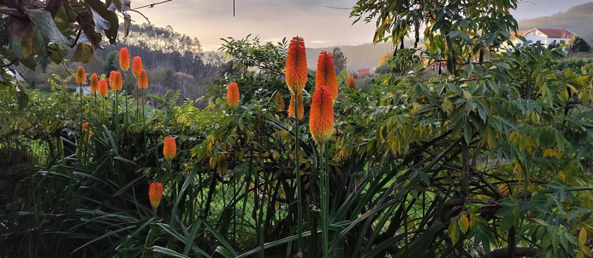 Casa Do Ribeiro Villa เซฟเวร์ ดู โววกา ภายนอก รูปภาพ